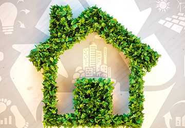 7 Eco-Friendly Home Changes to Save $200 Monthly